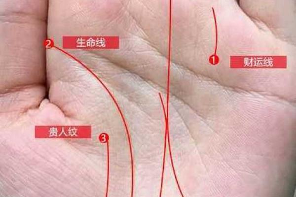 掌中事业线深长，揭秘女性运势飙升的秘密