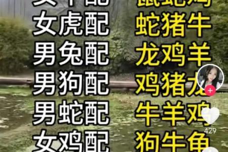 猴女配男马，揭秘神秘组合