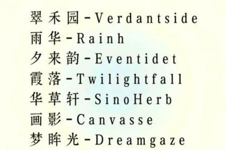如何为干活公司起名，做到既有创意又有辨识度