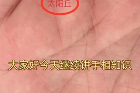 手相揭秘：太阳丘竖线预示着什么？财运、健康、爱情大揭秘