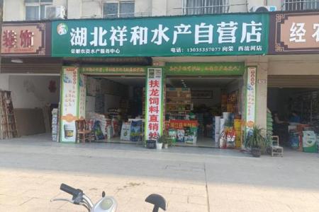 水产公司起名大全免费，打造品牌魅力的第一步