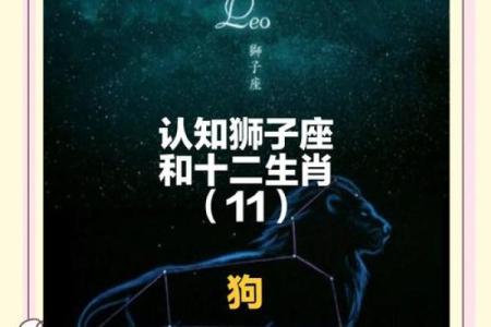 属猴女属狗男：星座配对，爱情长跑的秘密武器？