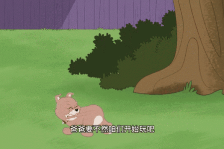 狗与老鼠：意外搭配的甜蜜碰撞？