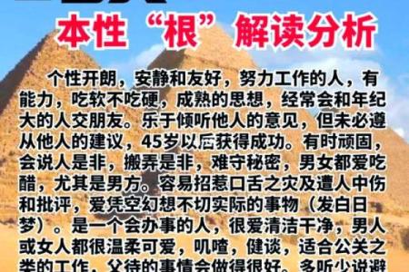 高命论：揭秘命运密码，开启幸福人生新篇章