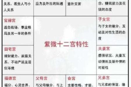 你不知道的紫微斗数生年排盘奥秘，掌握它让你赢在起点