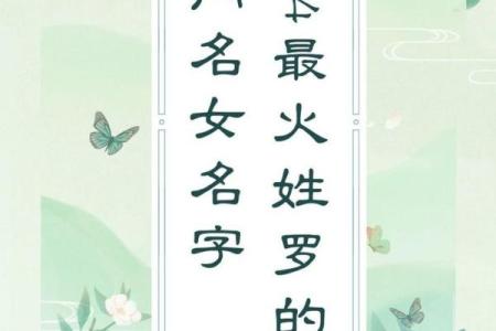最受欢迎的罗姓名字推荐