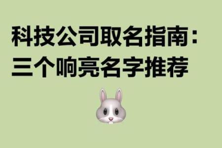 如何为科技公司起个响亮的名字，吸引更多关注