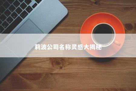 莉波公司名称灵感大揭秘