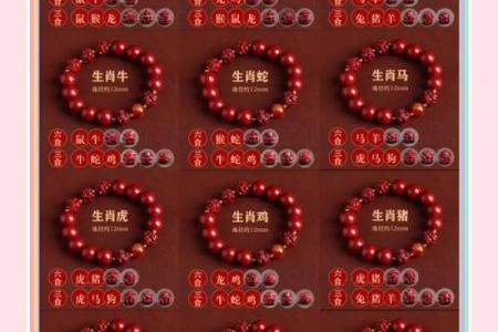龙鼠组合，揭秘相配的奥秘
