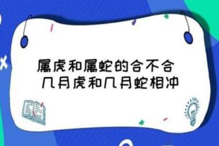 惊艳组合男虎女蛇，相配还是相克？