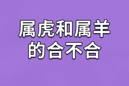 正月属羊人的命运运程分析，了解命理秘籍