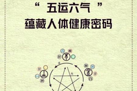 天干地支揭秘：如何利用它提升你的运势？