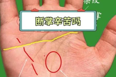 断掌揭秘：揭秘命理大师断掌的神秘力量