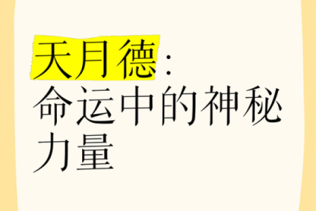 金木命：揭秘命运中的神秘力量