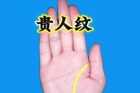 手相揭秘：瘦掌显贵气，肥掌藏福泽，揭秘你的运势与命运