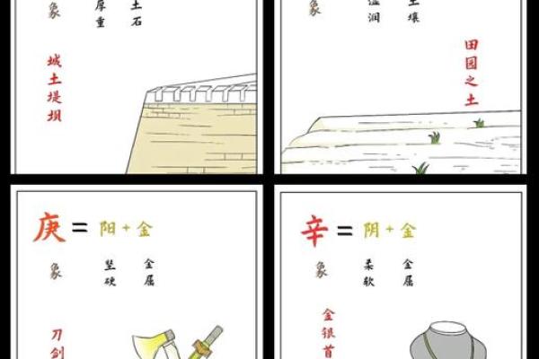 天干地支中的阴阳奥秘