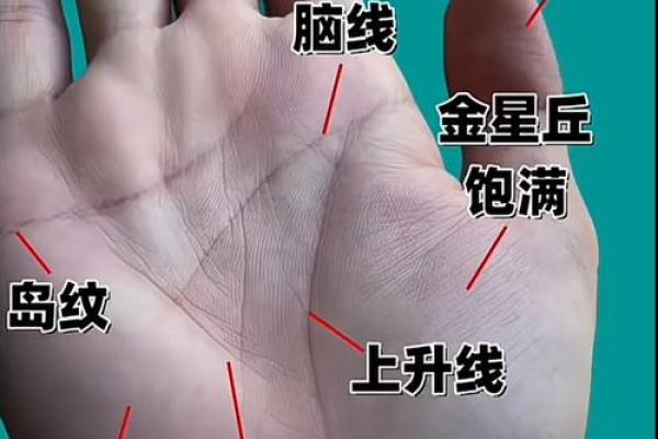 手相秘籍：揭秘手指间的运势密码，掌握财运健康运势