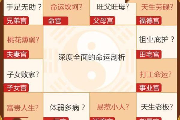 紫薇排盘揭秘：你必须知道的命运玄机