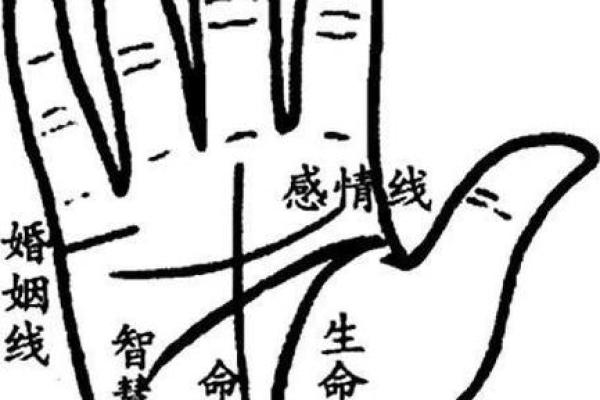 揭秘男性手相，掌握运势财运密码
