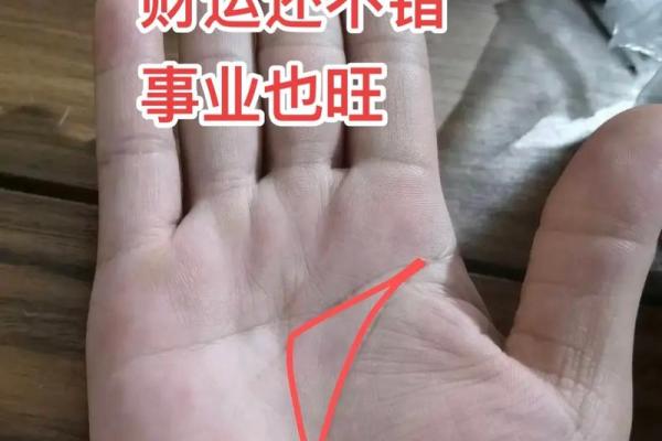揭秘男性手相，掌握运势财运密码