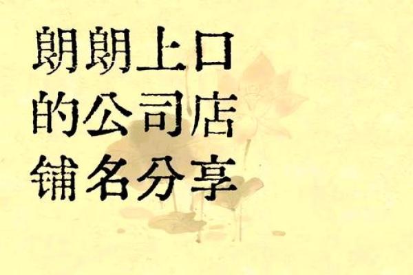 创业者必看！如何选一个符合品牌定位的公司名字