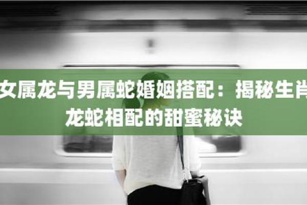 龙男兔女：揭秘爱情中的完美搭配