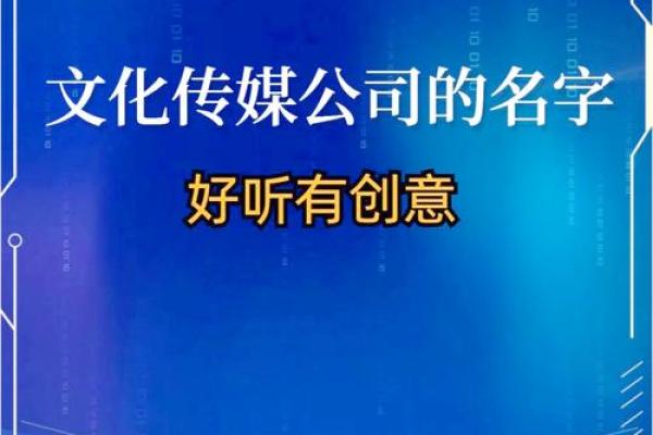 为信息化公司定制一个与众不同的名字