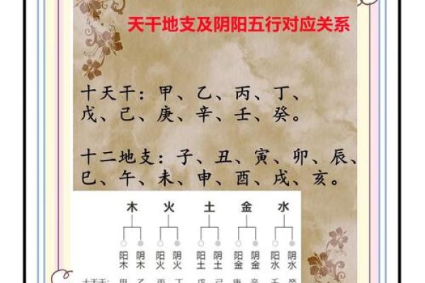 干支背诵法：快速记忆的秘诀