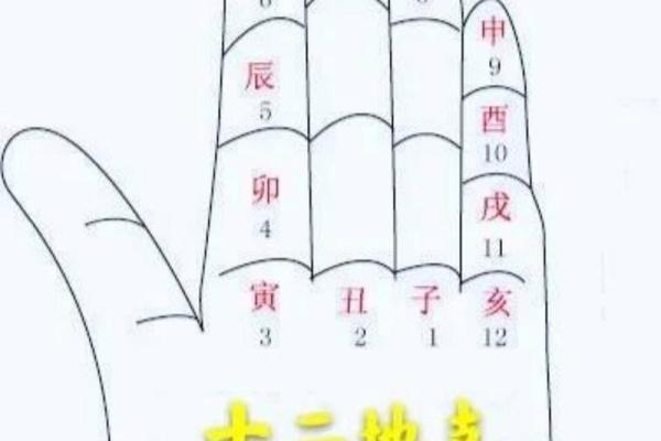 干支背诵法：快速记忆的秘诀