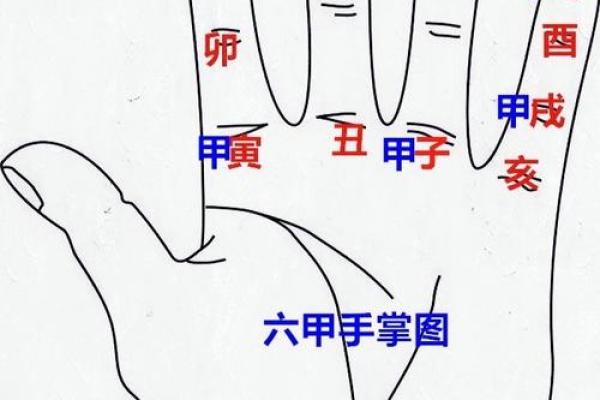 你知道天干地支在掌上如何展现吗