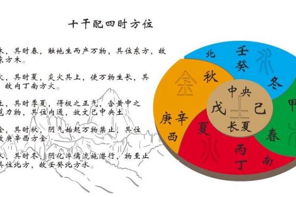 探索午的天干在五行中的深刻含义