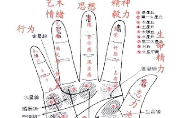 揭秘手相奥秘，轻松掌握运势财运
