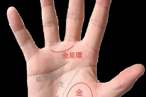 揭秘手相奥秘，轻松掌握运势财运
