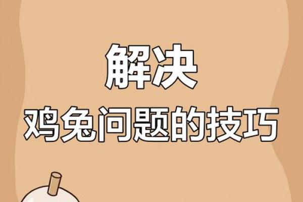 兔鸡相配，开店必看爆款秘籍