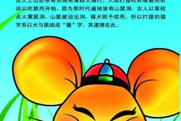 鼠年运势揭秘：你的命运藏在这12生肖的神奇密码