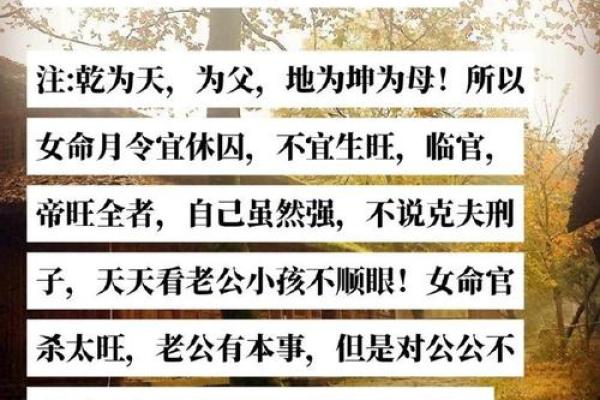 为什么香港台湾的风水命理能决定你的命运？