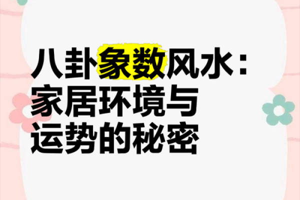 门开风水大揭秘：家居运势翻倍的秘密