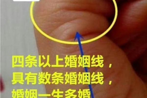 手相揭秘：太阳线事业线深度解析，掌握命运走向