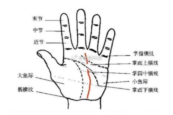 手相揭秘：太阳线事业线深度解析，掌握命运走向