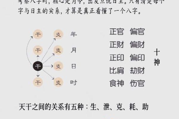 天干十神完全指南：命理学必学的基础