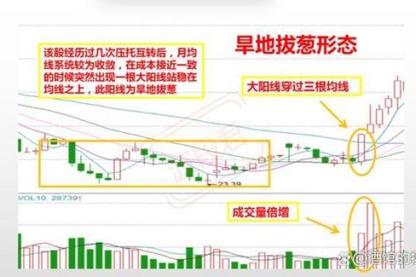 如何通过命理预测股市走势，让投资更稳妥