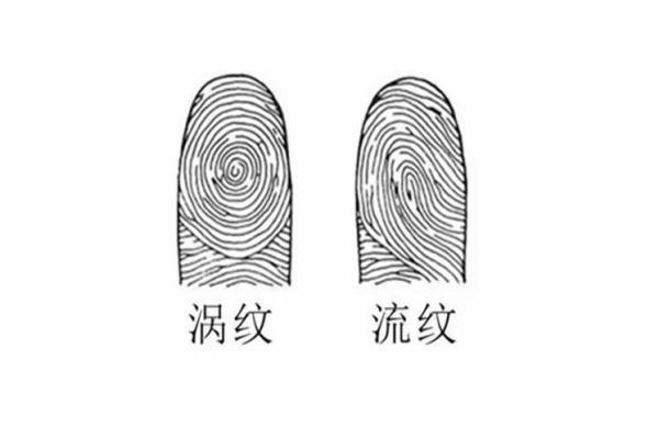 两个大母指是斗什么命？揭秘命运之谜