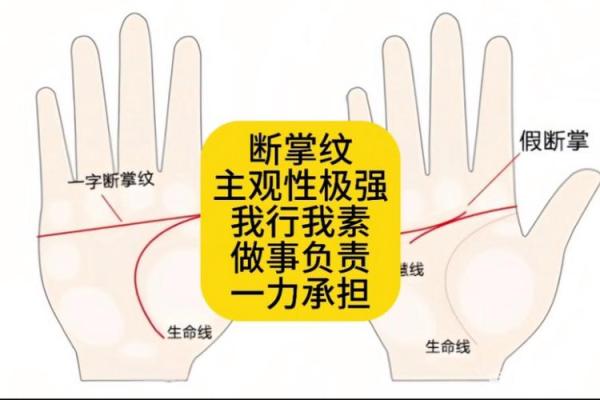 断掌奇缘：揭秘双手断掌手相的神秘力量