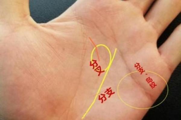 揭秘手相感情线：看掌纹洞悉内心情感秘密，爆款解读让你知己知彼