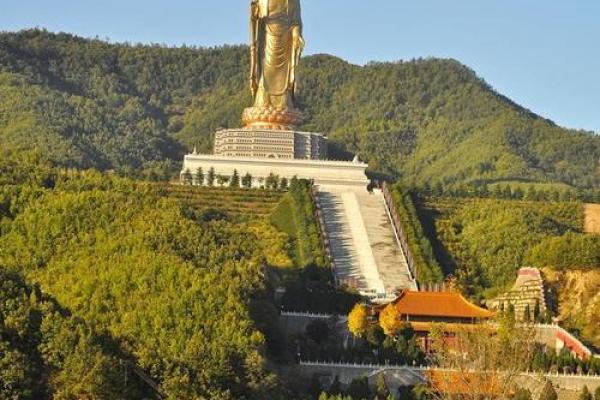 天干松青：解锁自然与心灵的完美融合