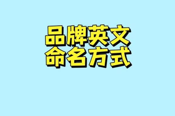 C公司起名秘籍，如何打造响亮品牌名