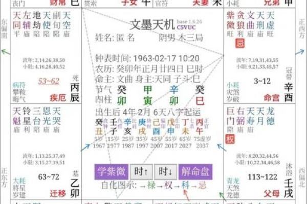 紫薇排盘百度云使用指南：让你快速掌握命运轨迹