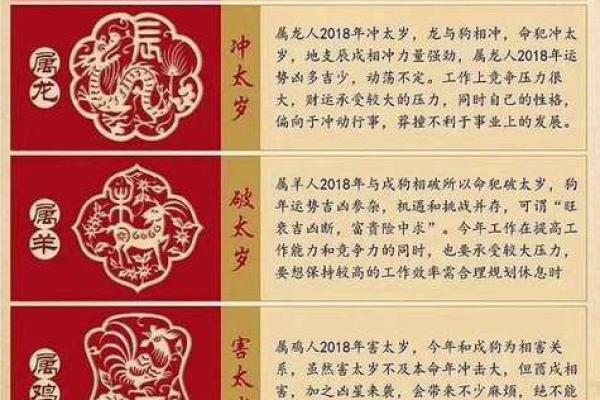 龙年运势揭秘：揭秘你的生肖命理，龙年竟是什么命