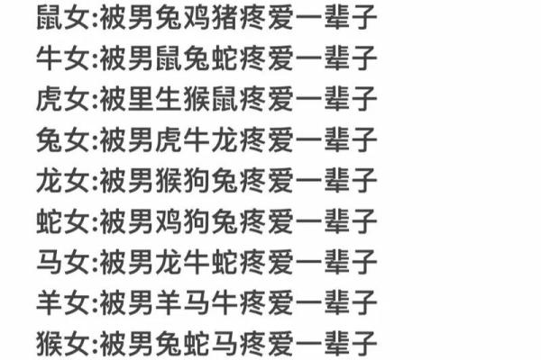 属相配对大揭秘：老鼠兔子到底合不合适？