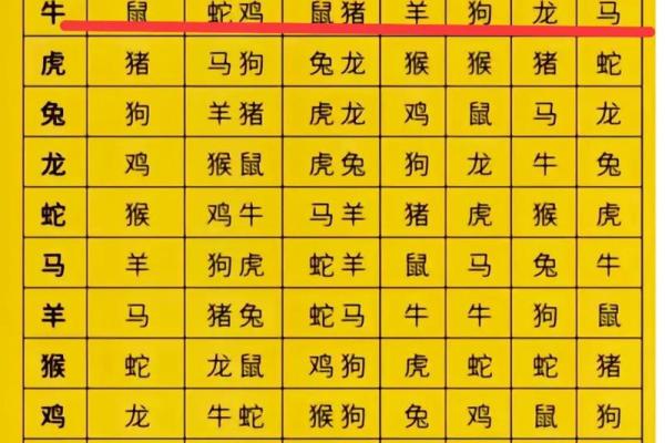 属相配对大揭秘：老鼠兔子到底合不合适？